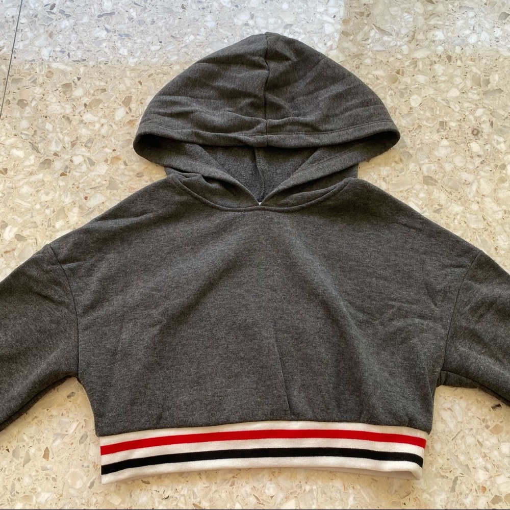 LOOKS LIKE NEW Grey Cropped Hoodie